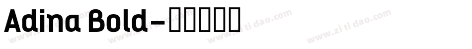 Adina Bold字体转换